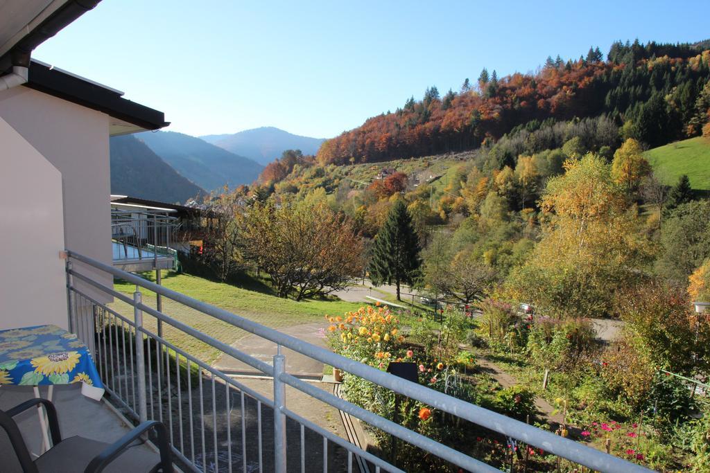Steiert Panorama Apartments Todtnau Exterior foto